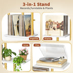 Botanical Record Player Stand with Vinyl Storage Wooden