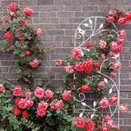 Bird Trellis Metal Garden Lattice Climbing Aid