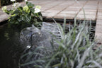 Blagdon Midipond High Performance Pond Pump to Run