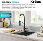 Bolden 18-Inch Commercial Kitchen Faucet with Dual Function