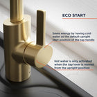 Brushed Brass