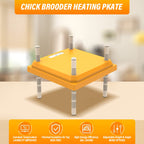 Brooder Heater for Chicks Chick Heating Plate