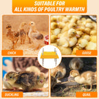 Brooder Heater for Chicks Chick Heating Plate