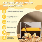 Brooder Heater for Chicks Chick Heating Plate
