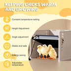 Brooder Heater for Chicks Chick Heating Plate