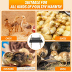 Brooder Heater for Chicks Chick Heating Plate