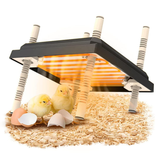 Brooder Heater for Chicks Chick Heating Plate