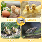 Brooder Heater for Chicks Chick Heating Plate