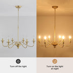 Brushed Nickel Chandelier Ceiling Lights 6 Modern Dining