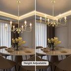 Brushed Nickel Chandelier Ceiling Lights 6 Modern Dining