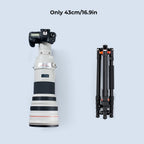 Camera Tripod 62" Aluminum Monopod with Quick Release