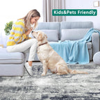 Modern Abstract Area Rug Living Room Extra Large