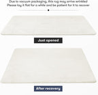Carpet Rugs Living Room Large Area Rug 200