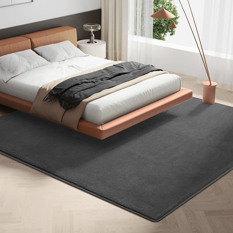 Carpet Rugs Living Room Large Area Rug 200