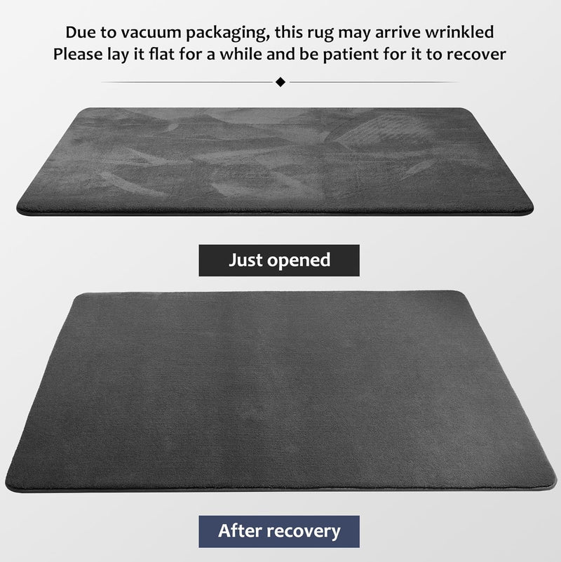 Carpet Rugs Living Room Large Area Rug 200