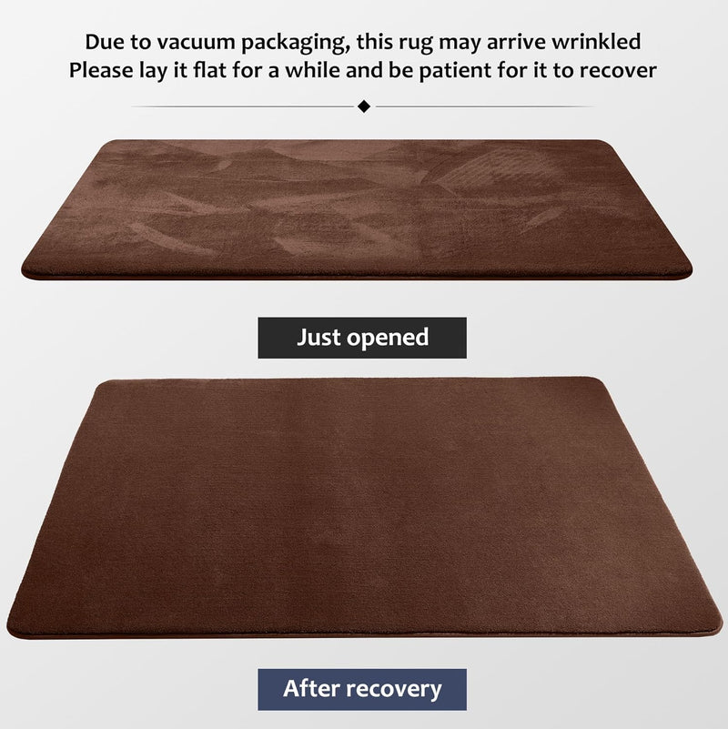 Carpet Rugs Living Room Large Area Rug 160
