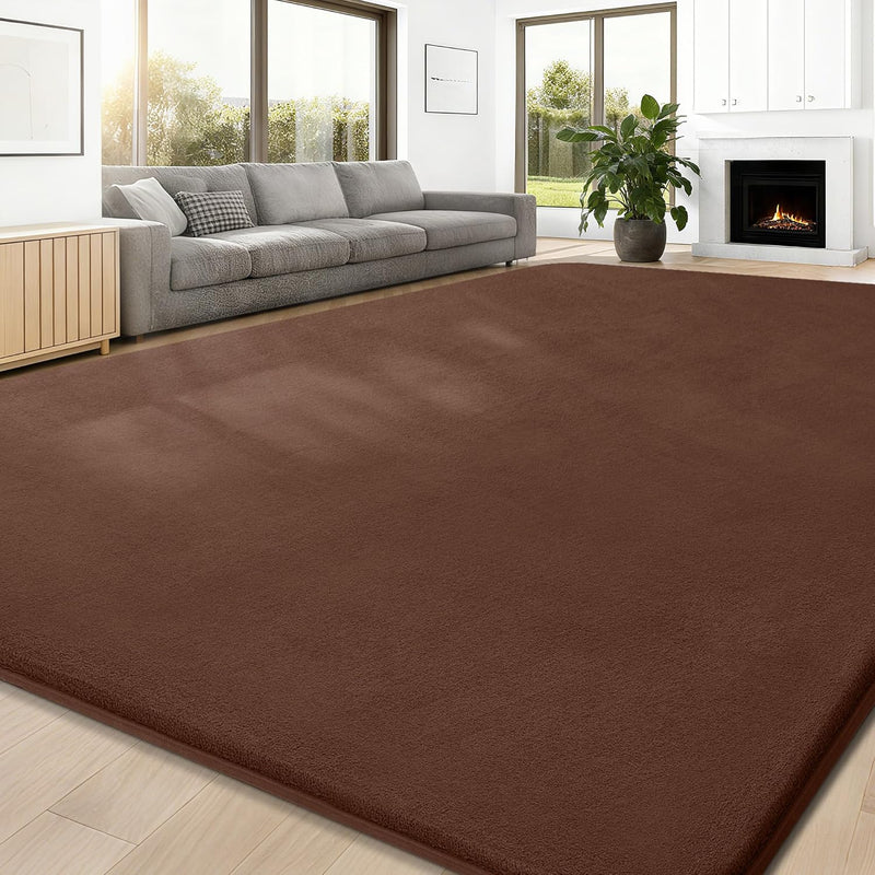 Carpet Rugs Living Room Large Area Rug 200