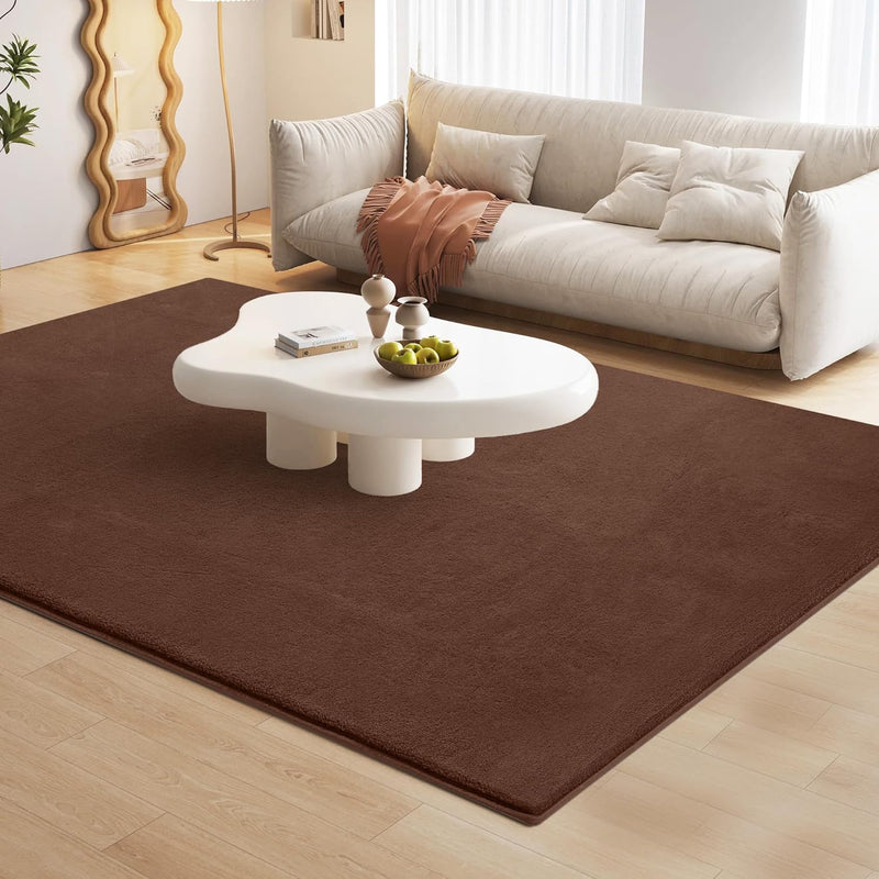 Carpet Rugs Living Room Large Area Rug 200