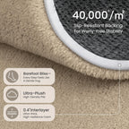Carpet Rugs Living Room Large Area