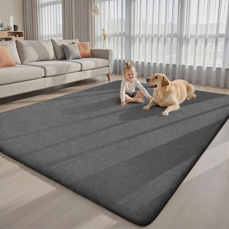 Extra Large Rugs Living Room Carpet