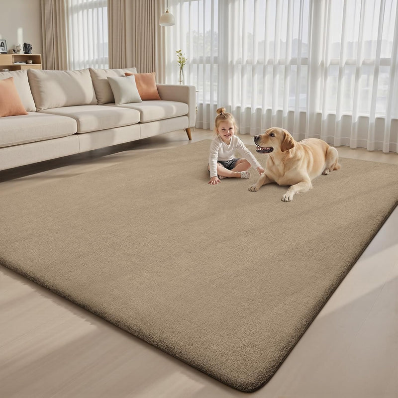 Extra Large Rugs Living Room Carpet