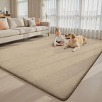 Carpet Rugs Living Room Large Area