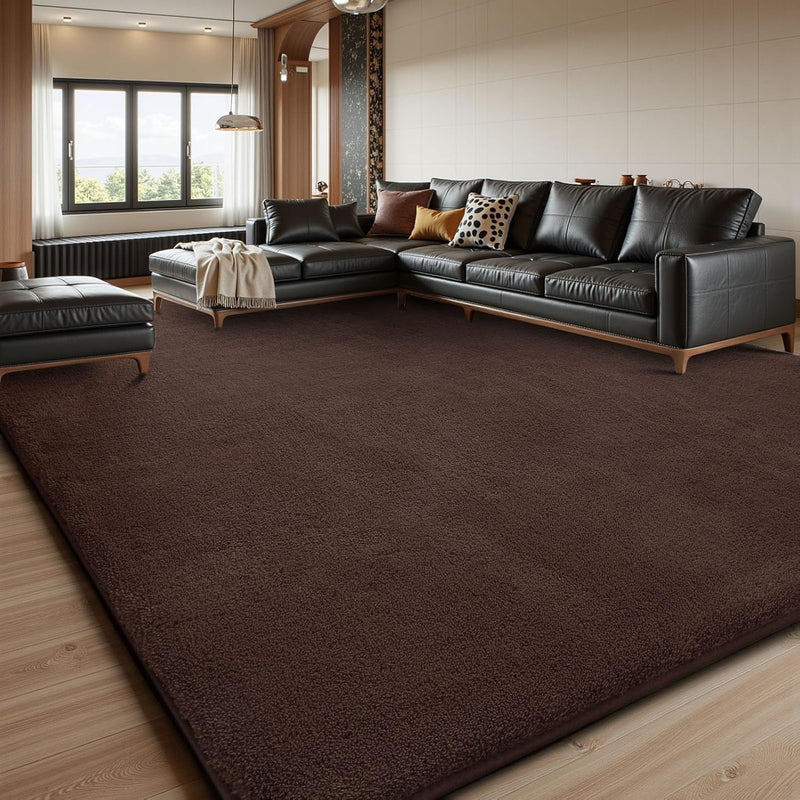 Extra Large Rugs Living Room Carpet