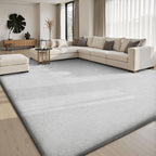 Carpet Rugs Living Room Large Area