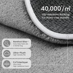 Carpet Rugs Living Room Large Area