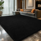 Carpet Rugs Living Room Large Area