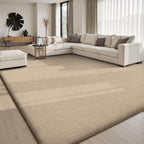 Carpet Rugs Living Room Large Area