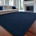 Carpet Rugs Living Room Large Area