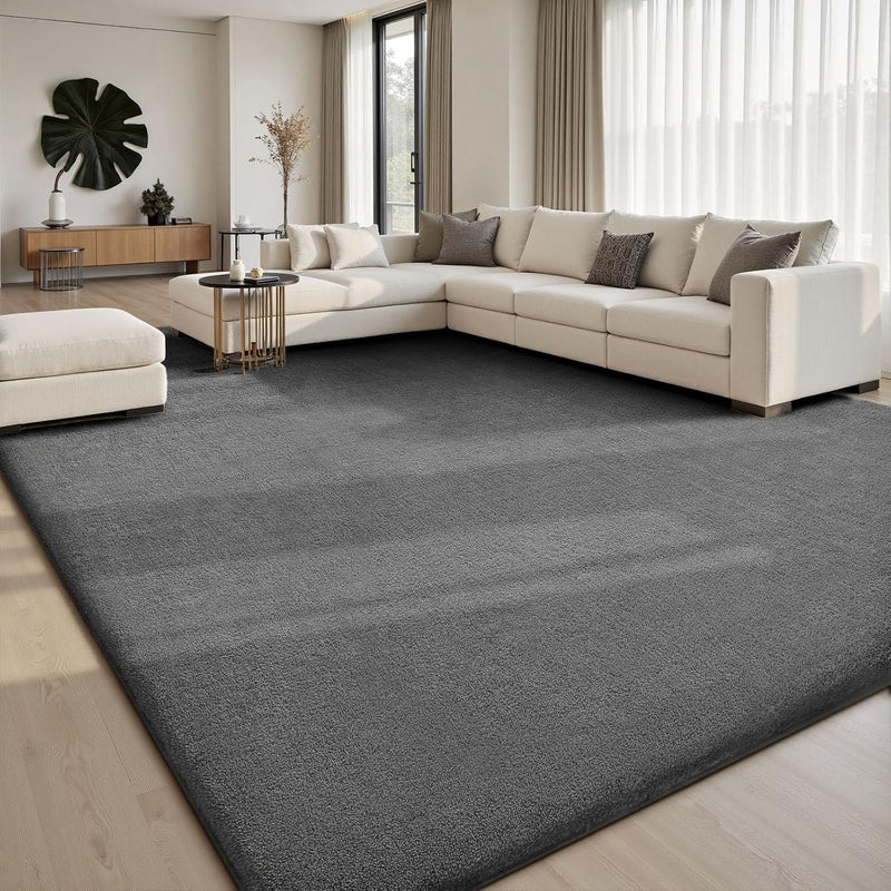Extra Large Rugs Living Room Carpet