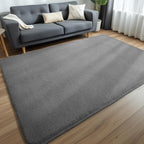 Carpet Rugs Living Room Large Area