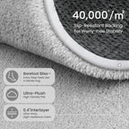 Carpet Rugs Living Room Large Area