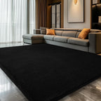 Carpet Rugs Living Room Large Area