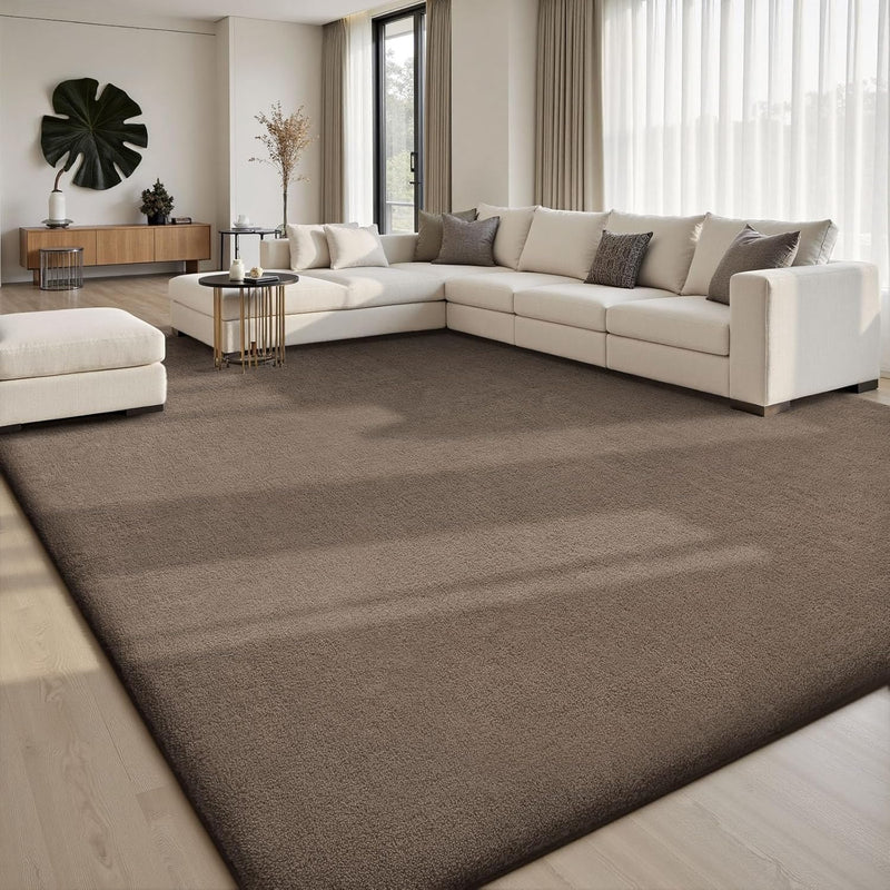 Extra Large Rugs Living Room Carpet