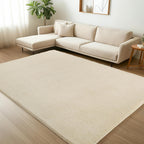 Carpet Rugs Living Room Large Area