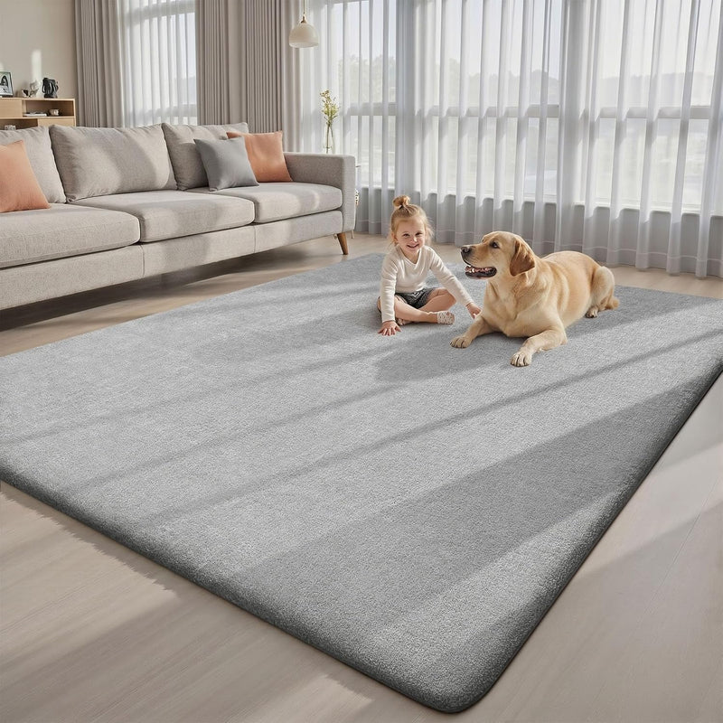 Extra Large Rugs Living Room Carpet