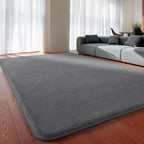 Carpet Rugs Living Room Large Area
