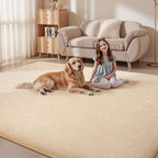 Carpet Rugs Living Room Large Area