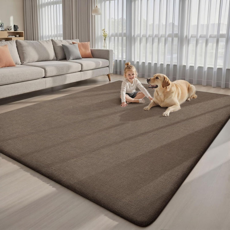 Extra Large Rugs Living Room Carpet