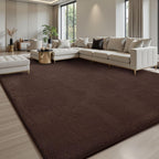 Carpet Rugs Living Room Large Area