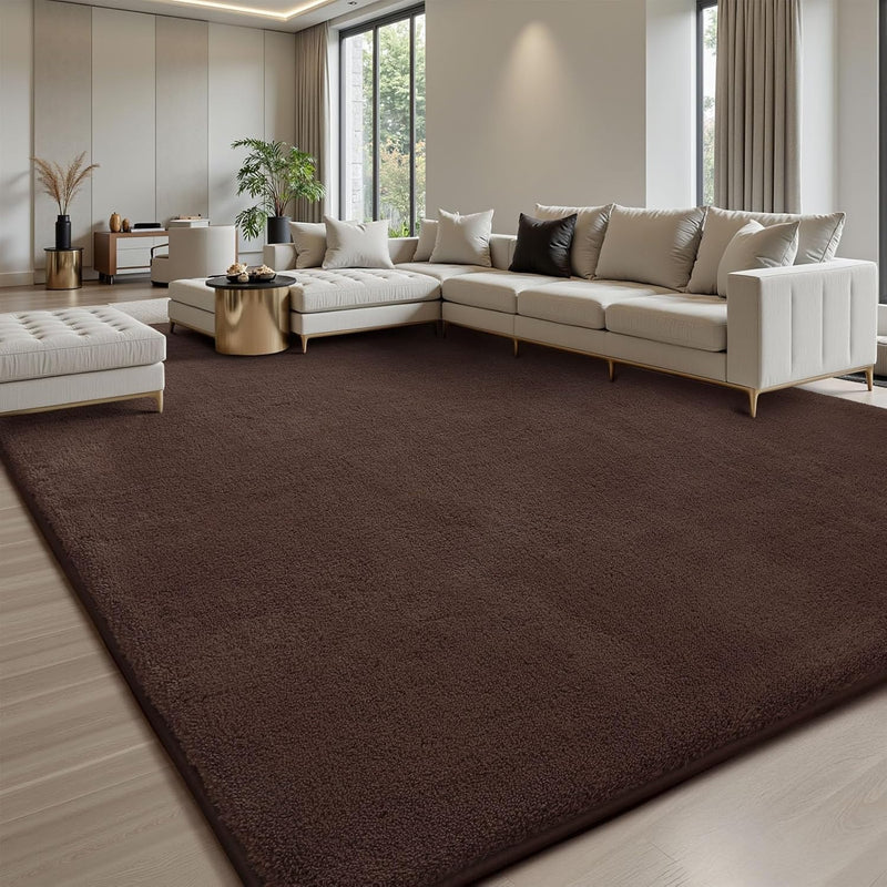 Extra Large Rugs Living Room Carpet