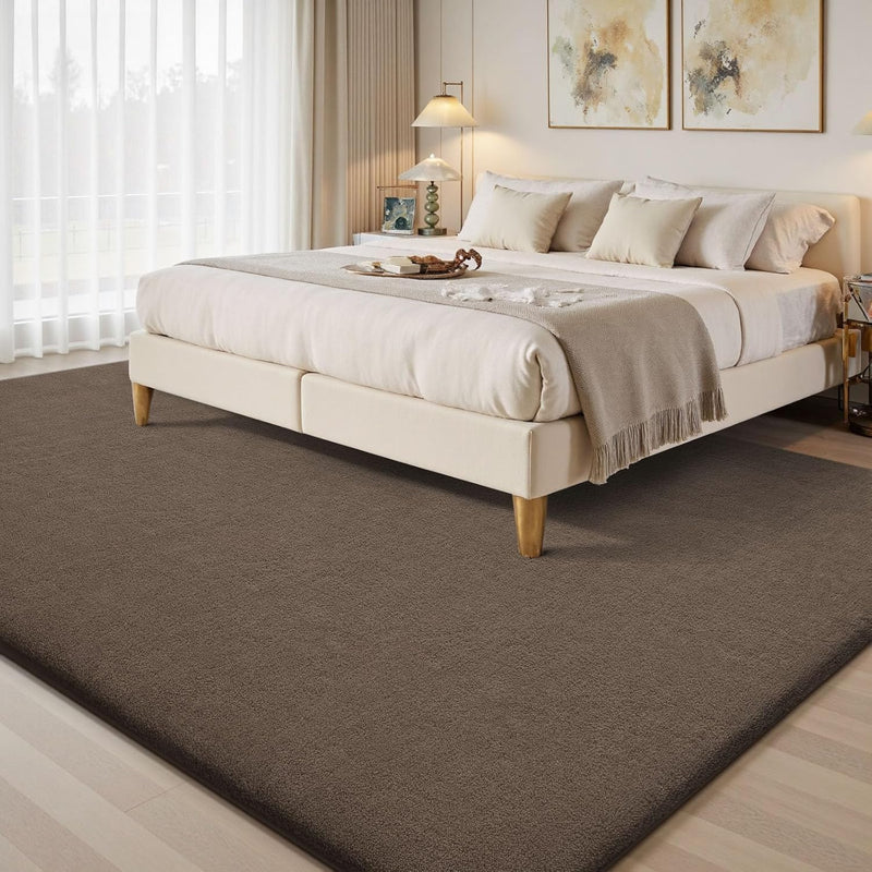 Extra Large Rugs Living Room Carpet