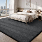 Carpet Rugs Living Room Large Area