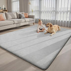 Carpet Rugs Living Room Large Area