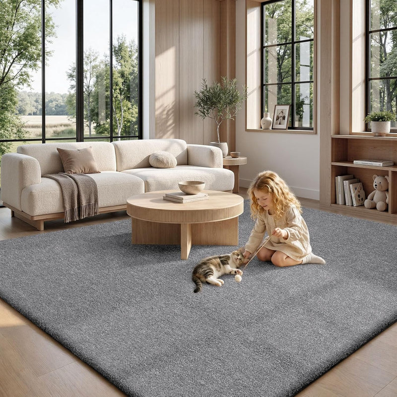 Extra Large Rugs Living Room Carpet