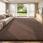 Carpet Rugs Living Room Large Area