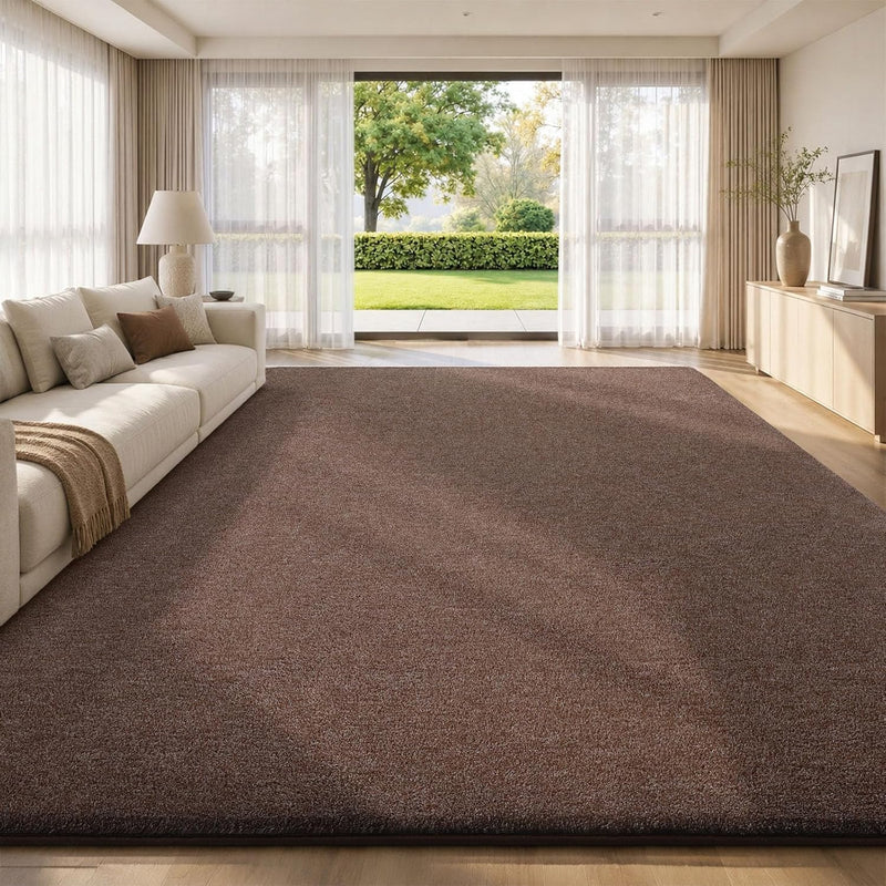 Extra Large Rugs Living Room Carpet